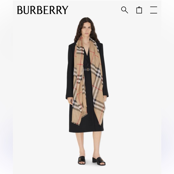 Burberry Scarf - Picture 1 of 9